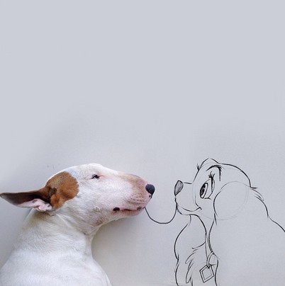 jgalere.com-chien-sur-dessin (10)