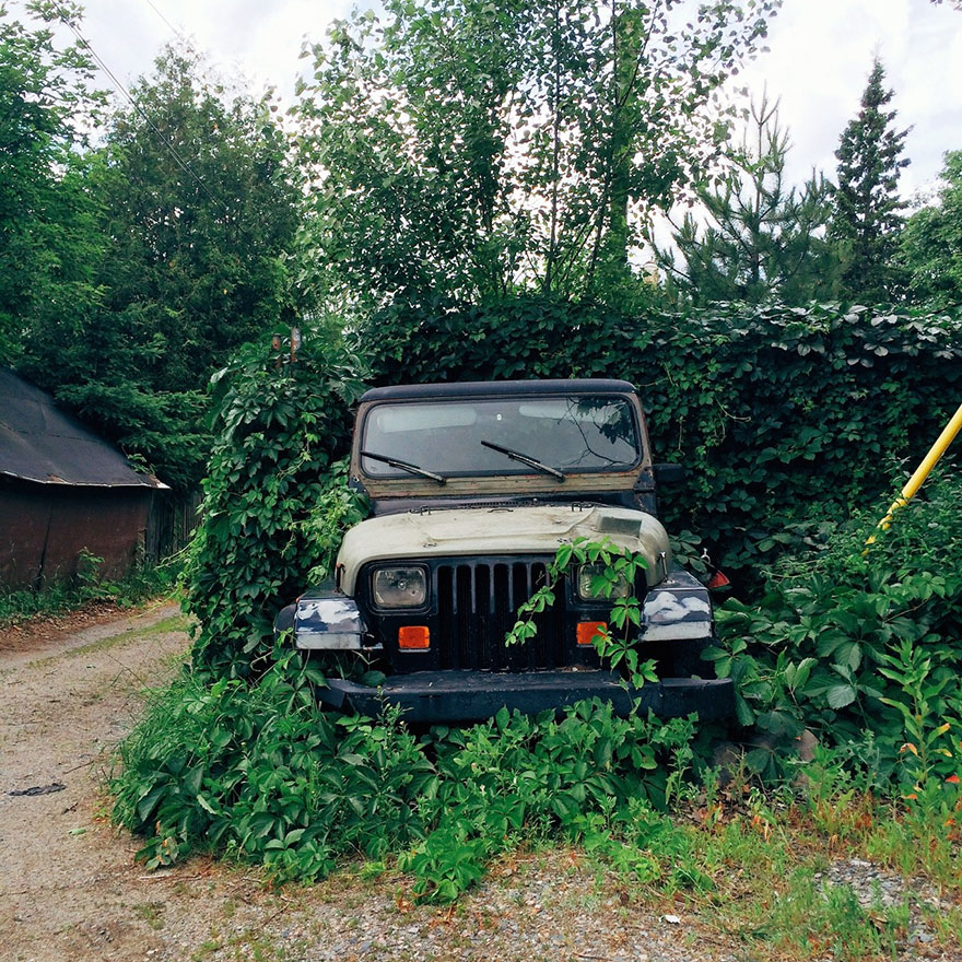jgalere.com-ou-est-le-chien (20)