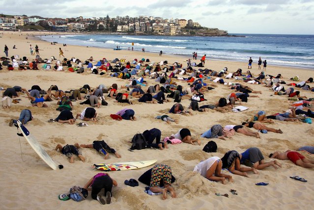 jgalere.com-sydney-plage-autruche-humaines (2)