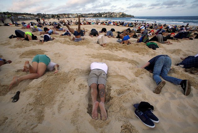 jgalere.com-sydney-plage-autruche-humaines (3)