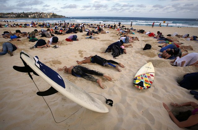 jgalere.com-sydney-plage-autruche-humaines (4)