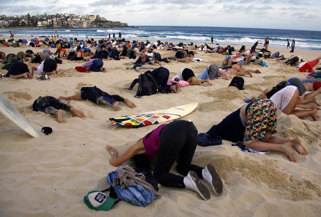 jgalere.com-sydney-plage-autruche-humaines (5)