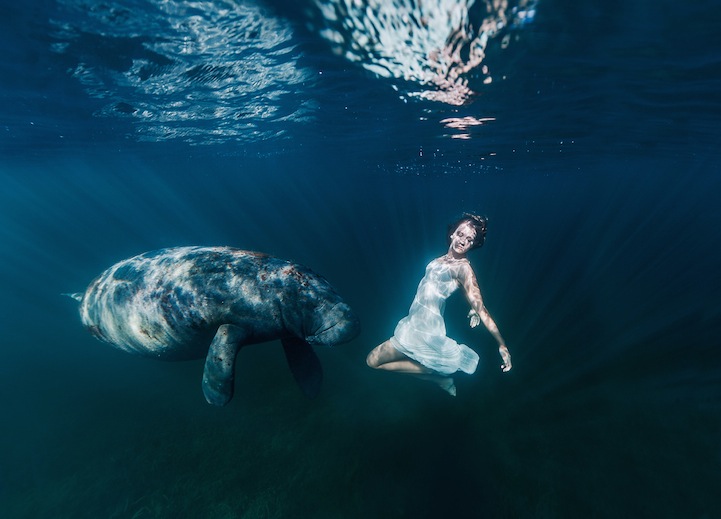 sirene-photo-26727652