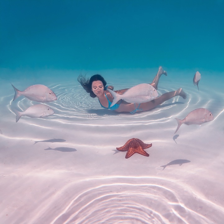 sirene-photo68