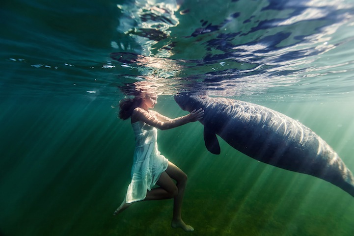 sirene-photo87