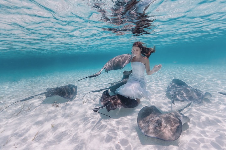 sirene-photo990