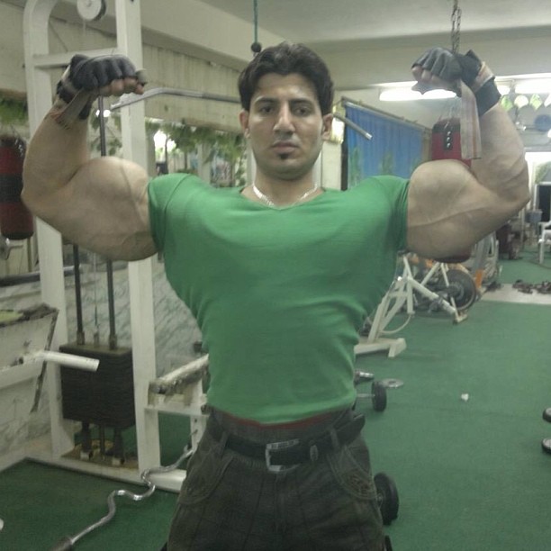 synthol_1
