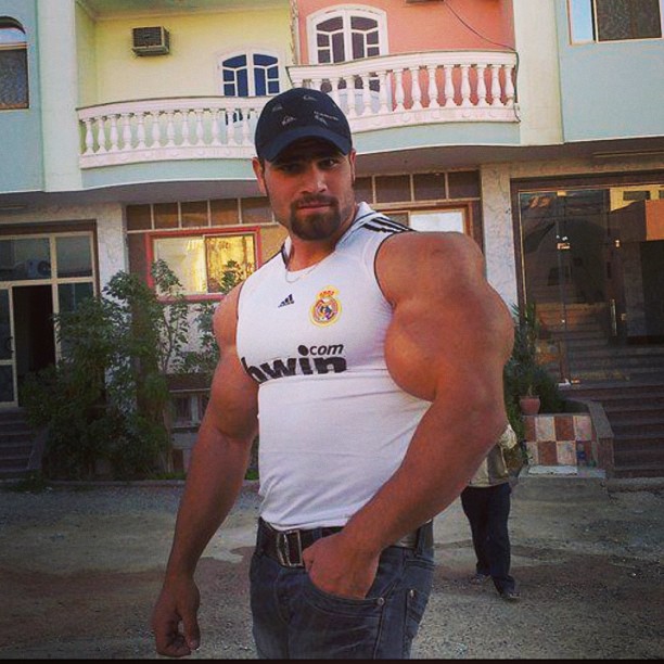 synthol_15