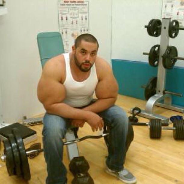 synthol_17