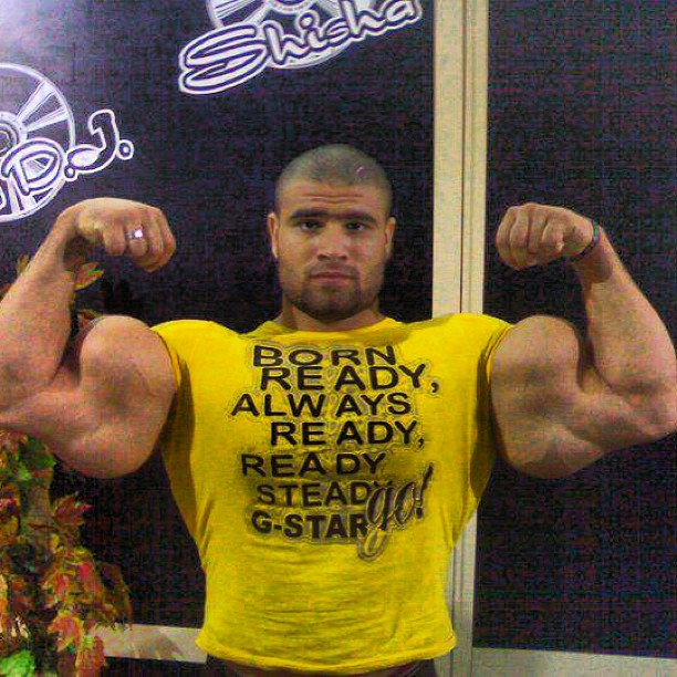 synthol_2