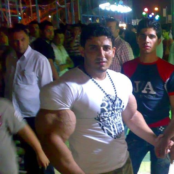 synthol_3