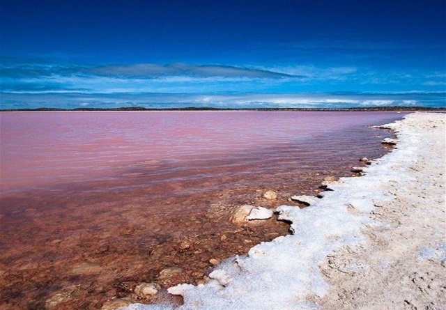 Lac rose au Sénégal (2)