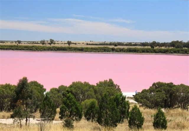 Lac rose au Sénégal (3)