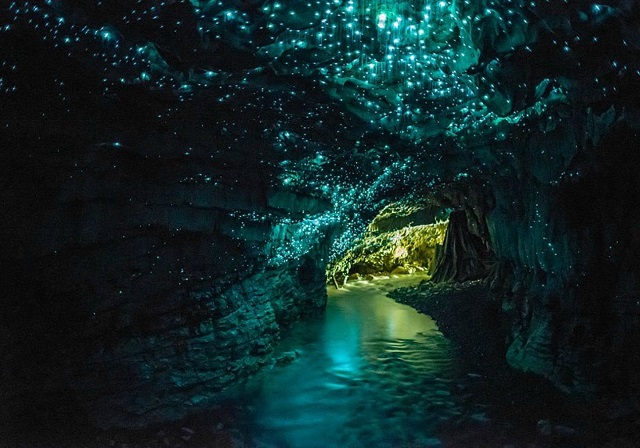 Waitomo Glowworm Caves, Nouvelle-Zélande (2)