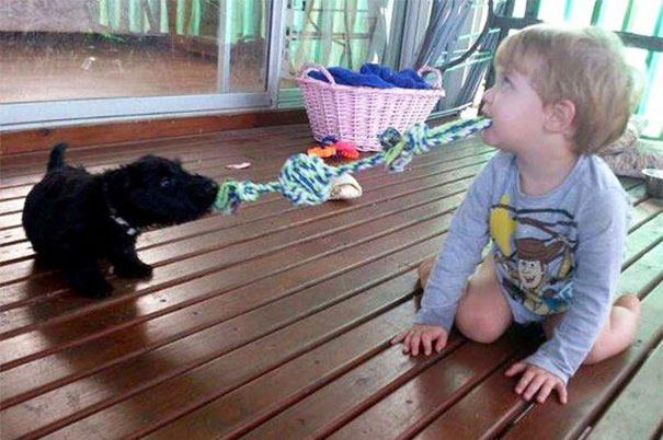 Enfant qui se comporte comme nos amis les animaux (7)