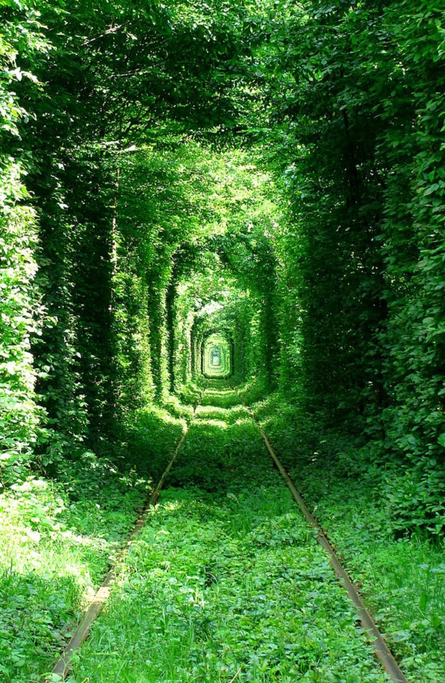 Tunnel of Love, Klevan, Ukraine